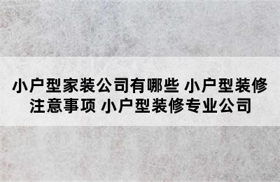 小户型家装公司有哪些 小户型装修注意事项 小户型装修专业公司